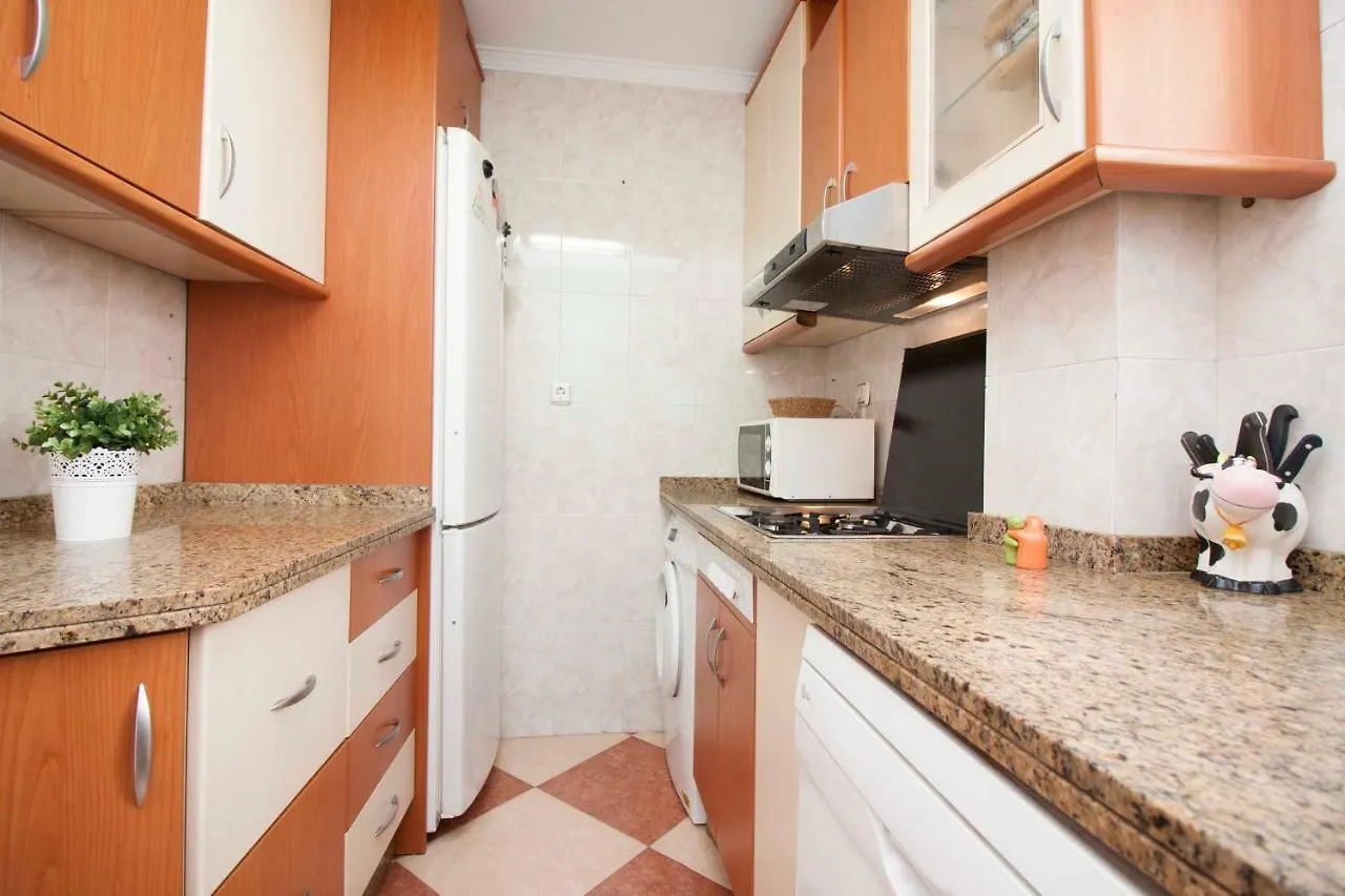 Malaga Center Flat Hospitality Apartment